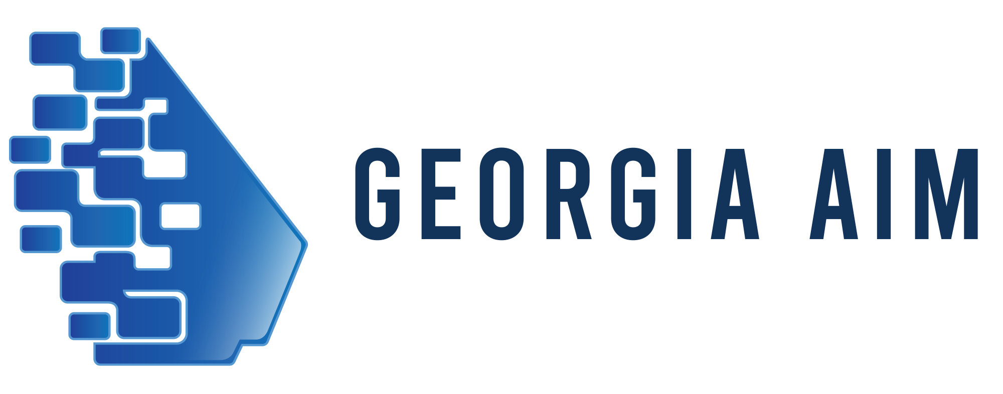 Georgia AIM logo, blocks shaping into the shape of Georgia